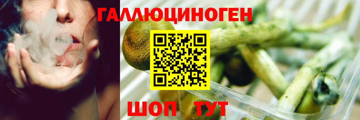 Усть-Илимск  Галлюциногенные грибы Cubensis  Вход с VPN  Галлюциногенные грибы мицелий 